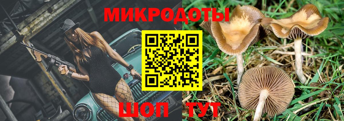 Строитель  Псилоцибиновые грибы Magic Shrooms  Вход с VPN 