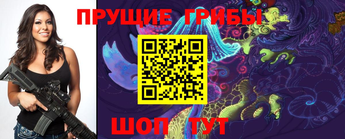Псилоцибиновые грибы GOLDEN TEACHER Строитель